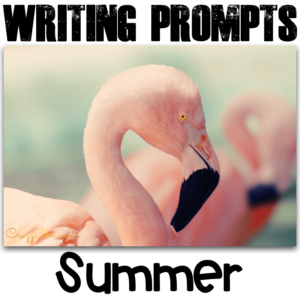 Celebrate SUMMER in your classroom and engage students with writing. These writing prompts are easy to prepare and you'll be able to use them every year! The task cards can be used as Writing Centers in middle and high school. Go ahead and use them with adults during ESL lessons as well.