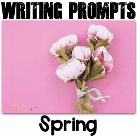 Celebrate SPRING in your classroom and provide students with writing tasks and ideas. The packet contains narrative, informational and opinion writing prompts for teens. The prompts can be used as Writing Centers, as well as with adults during ESL lessons.