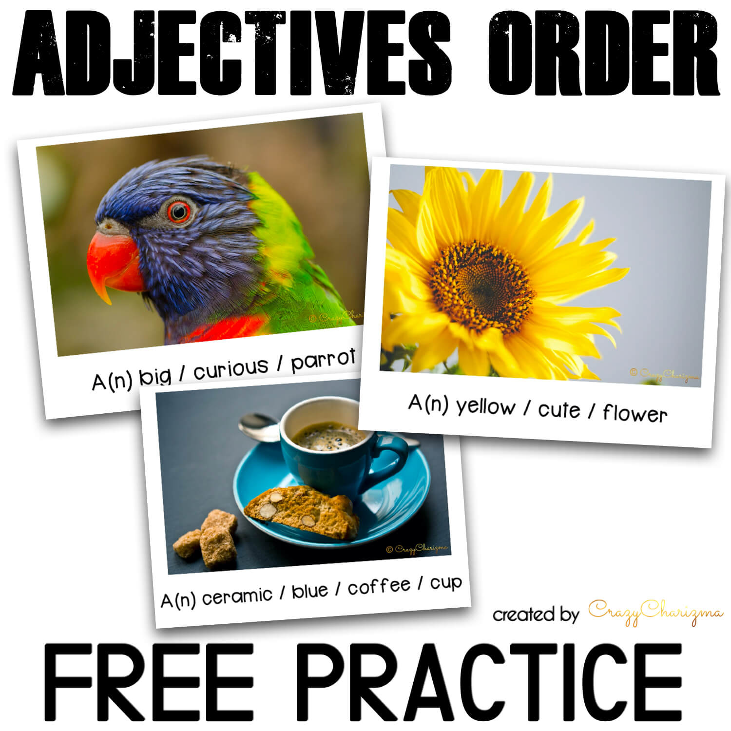 Free Ordering Adjectives Practice