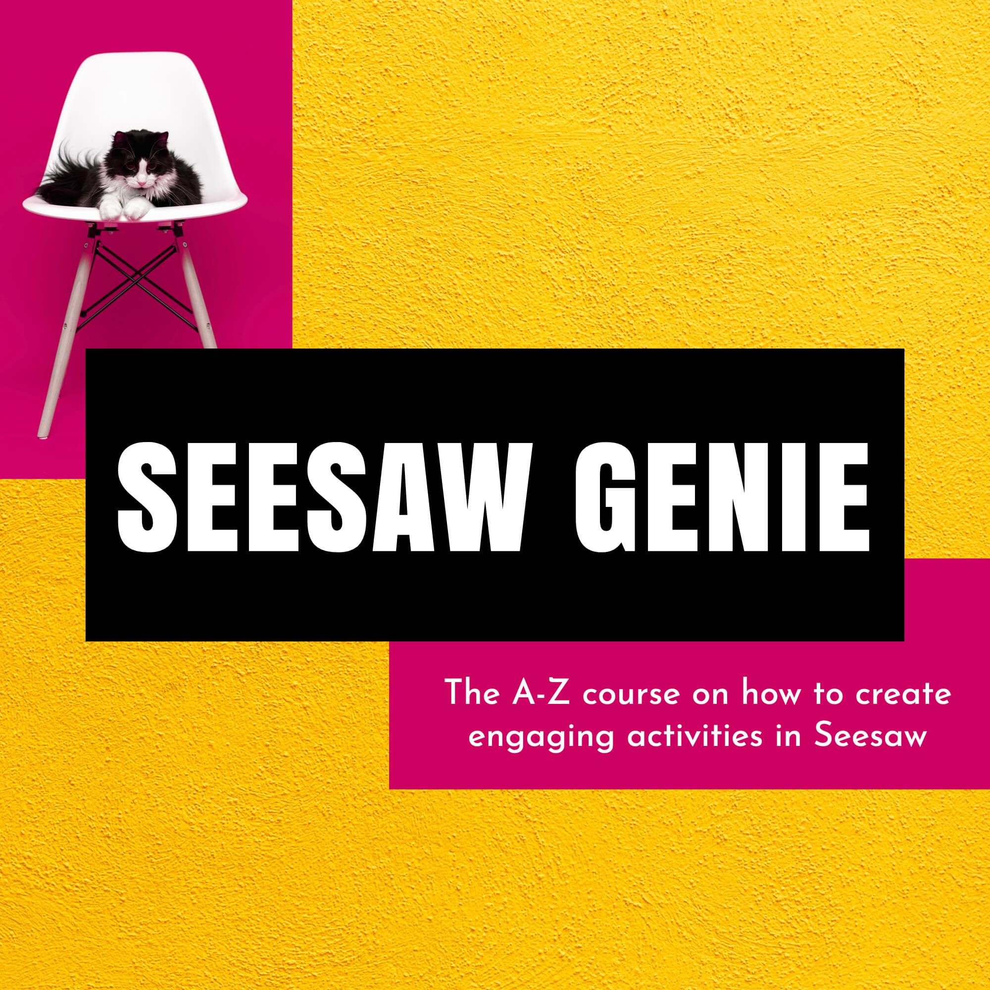 buy seesaw