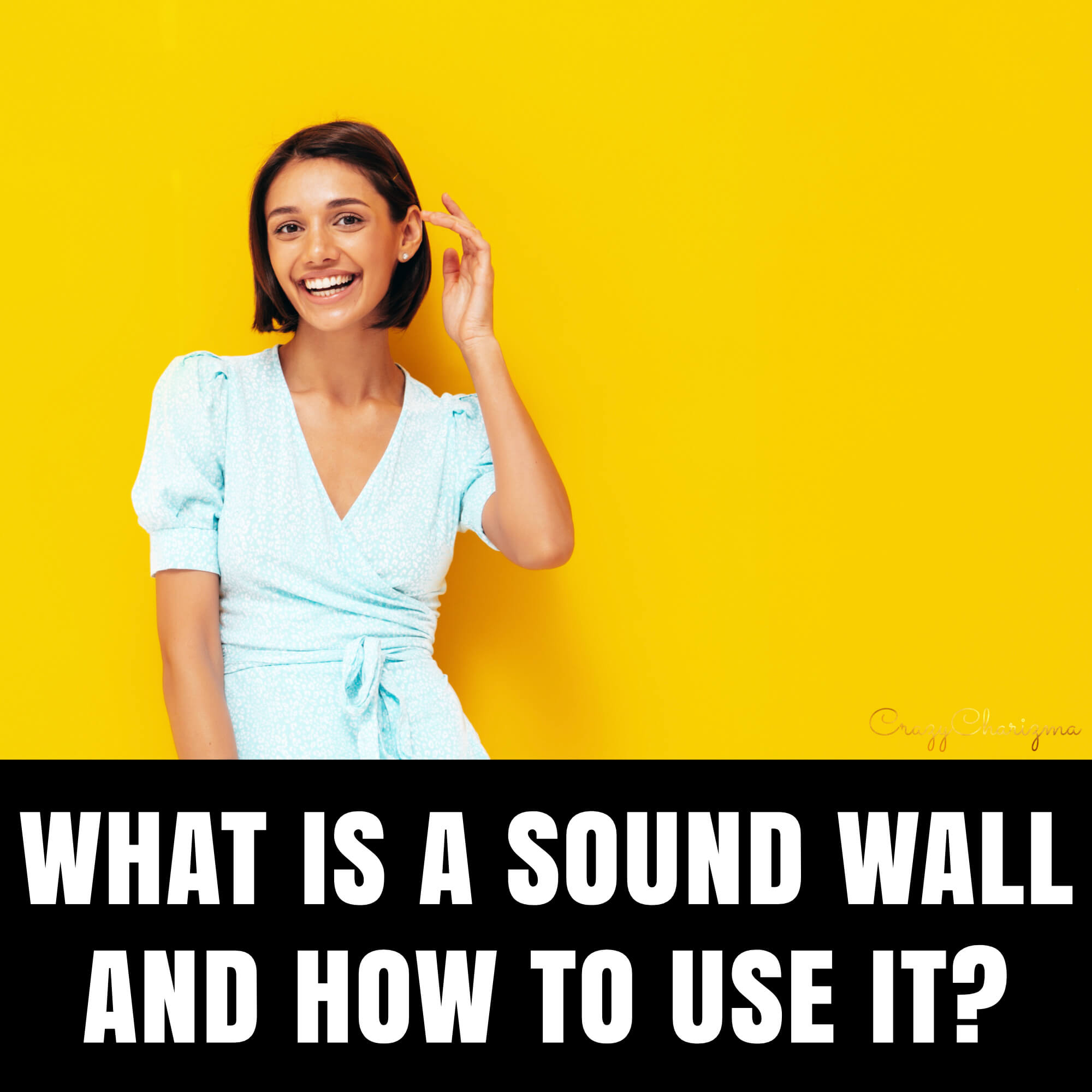 What is Sound Wall