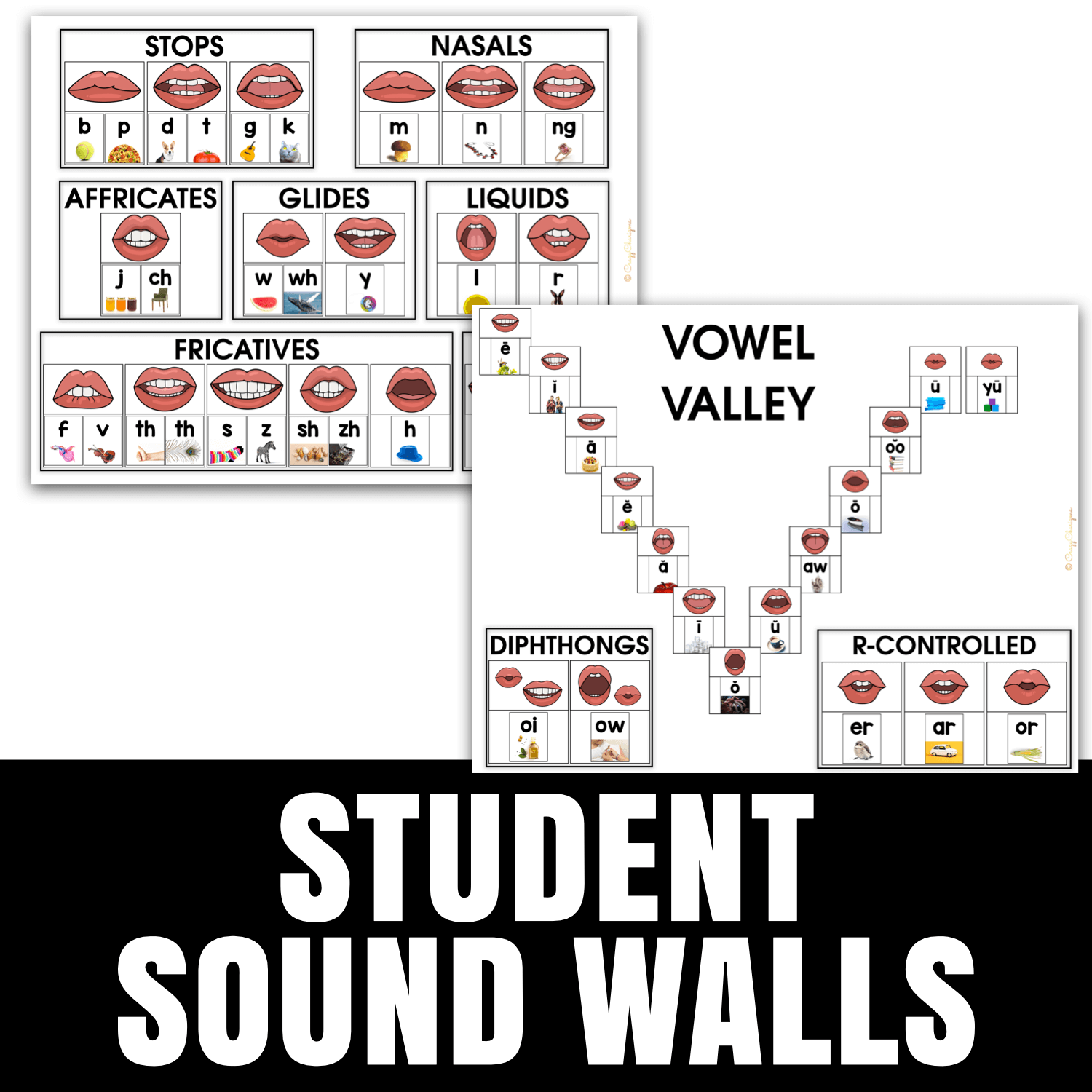 Sound Wall with Mouth Pictures - student walls