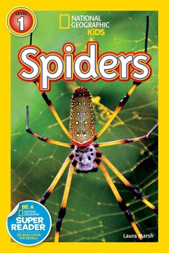 "Spiders" by National Geographic