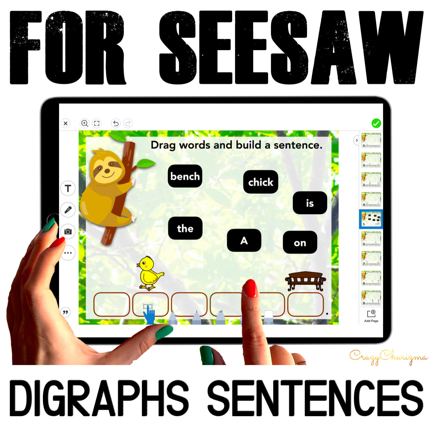 Seesaw BD Sloth