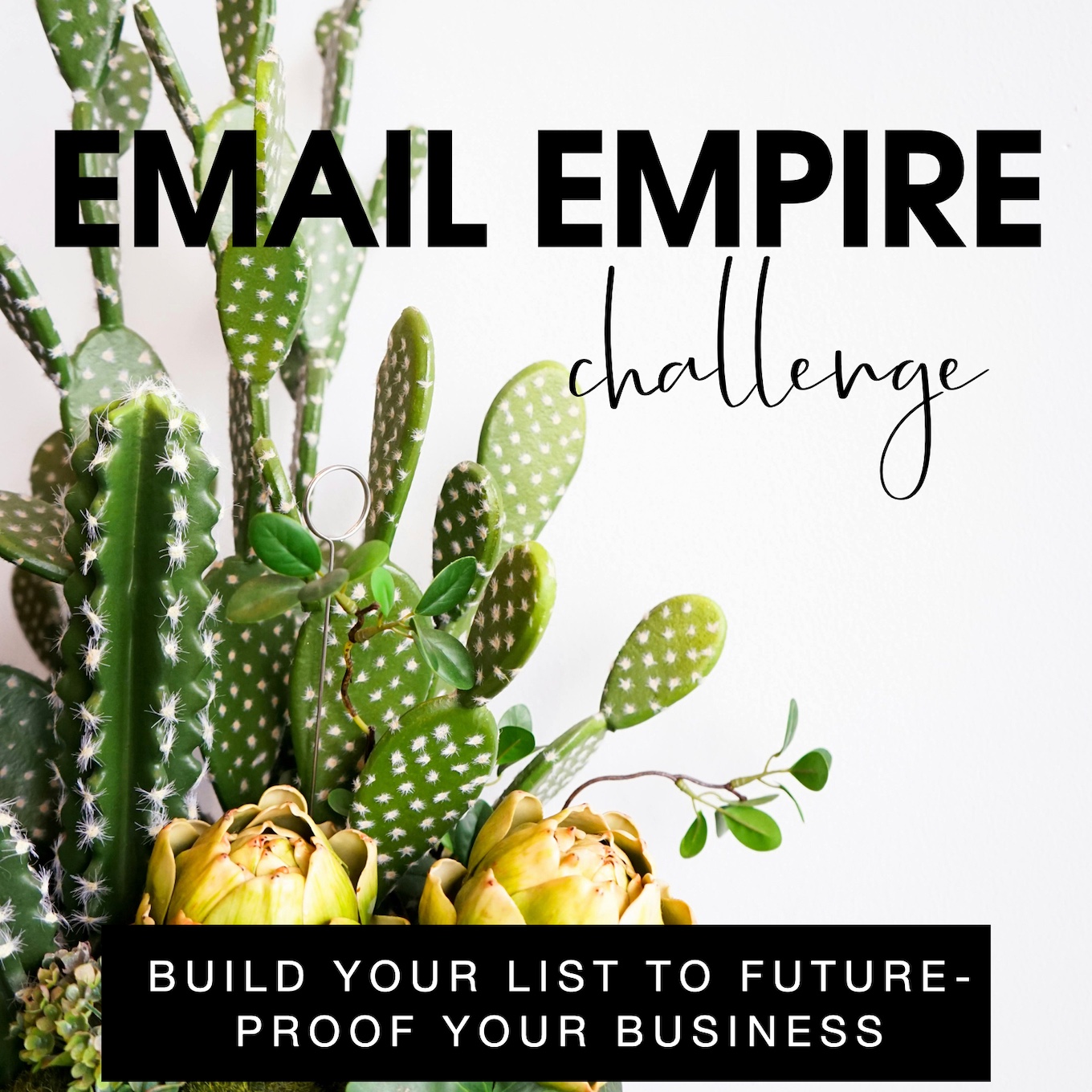 Email Empire Challenge Cover