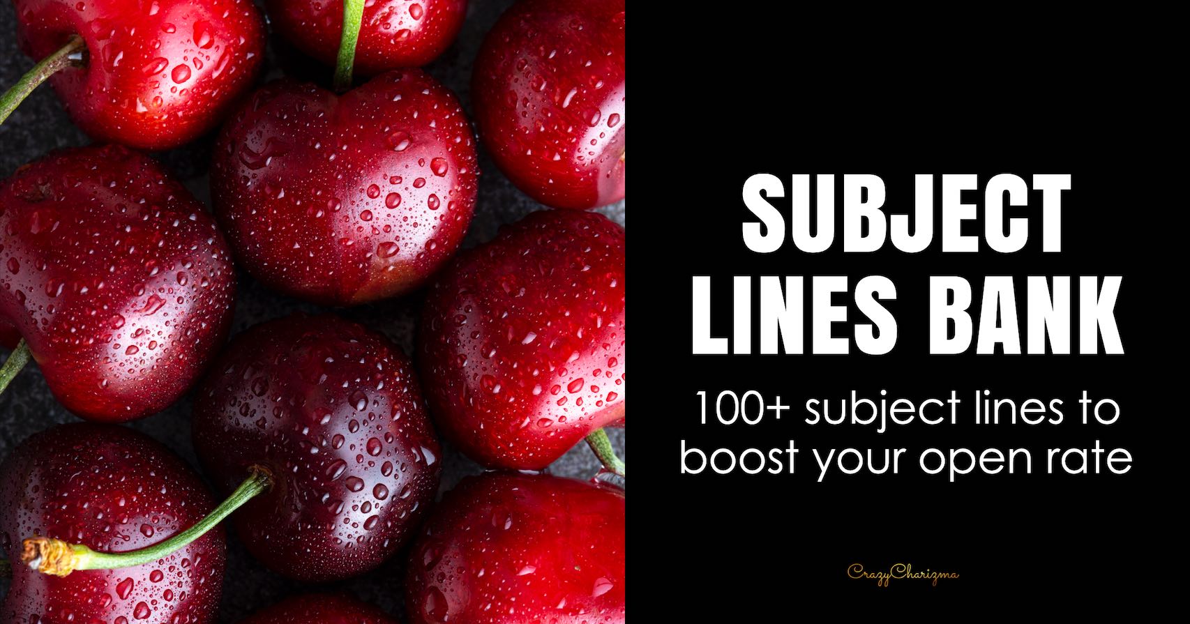 Subjuct Line Subject Lines That Get Opened | 100+ Proven Email Subject Lines