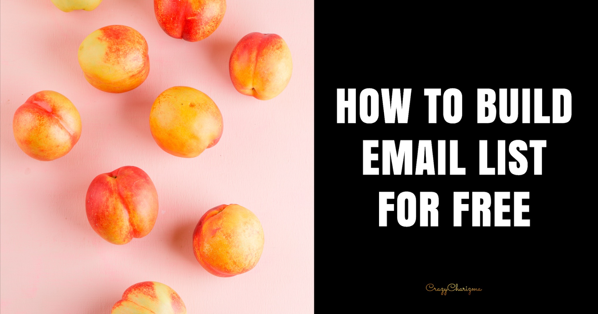 How to Build Email List for Free