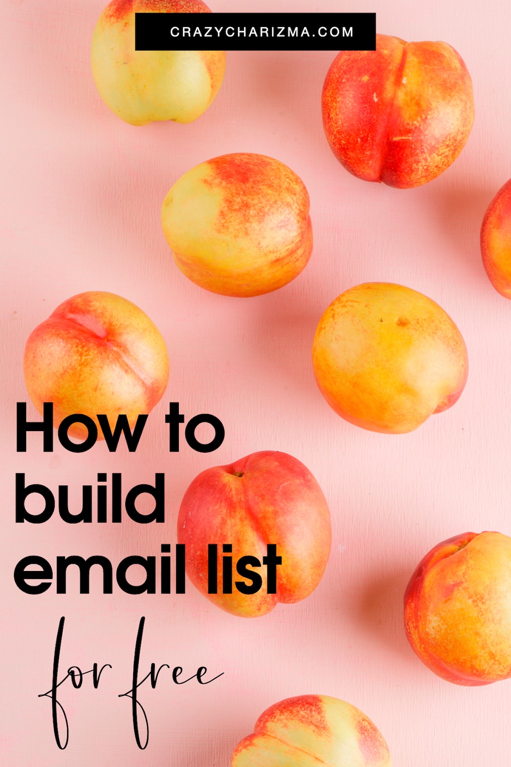 Discover how to build an email list for free! Learn to create lead magnets, choose the right email provider, and promote your list effectively.