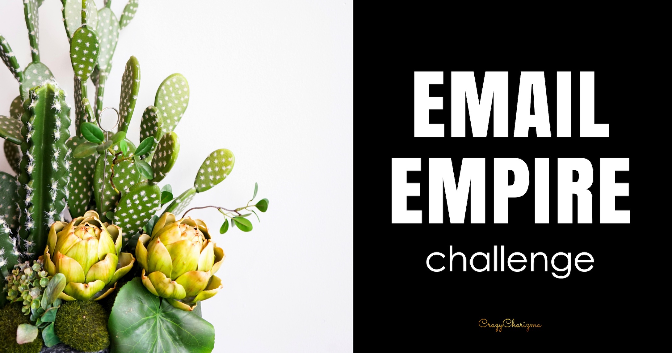 Email Empire Challenge